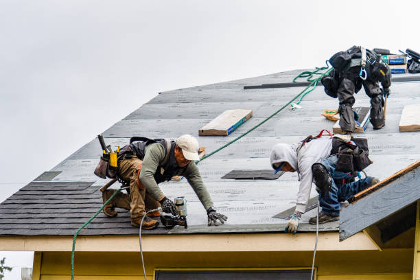 Professional Roofing technician working in Burlington, IN